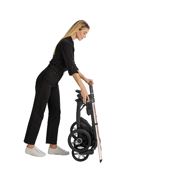 inglesina-aptica-glam-4.gif